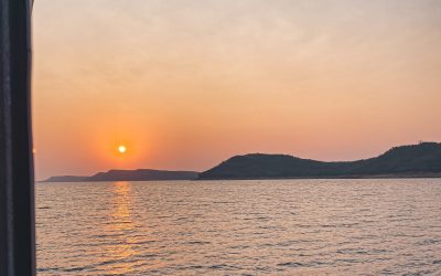 Of ferries, elephants, and potholes